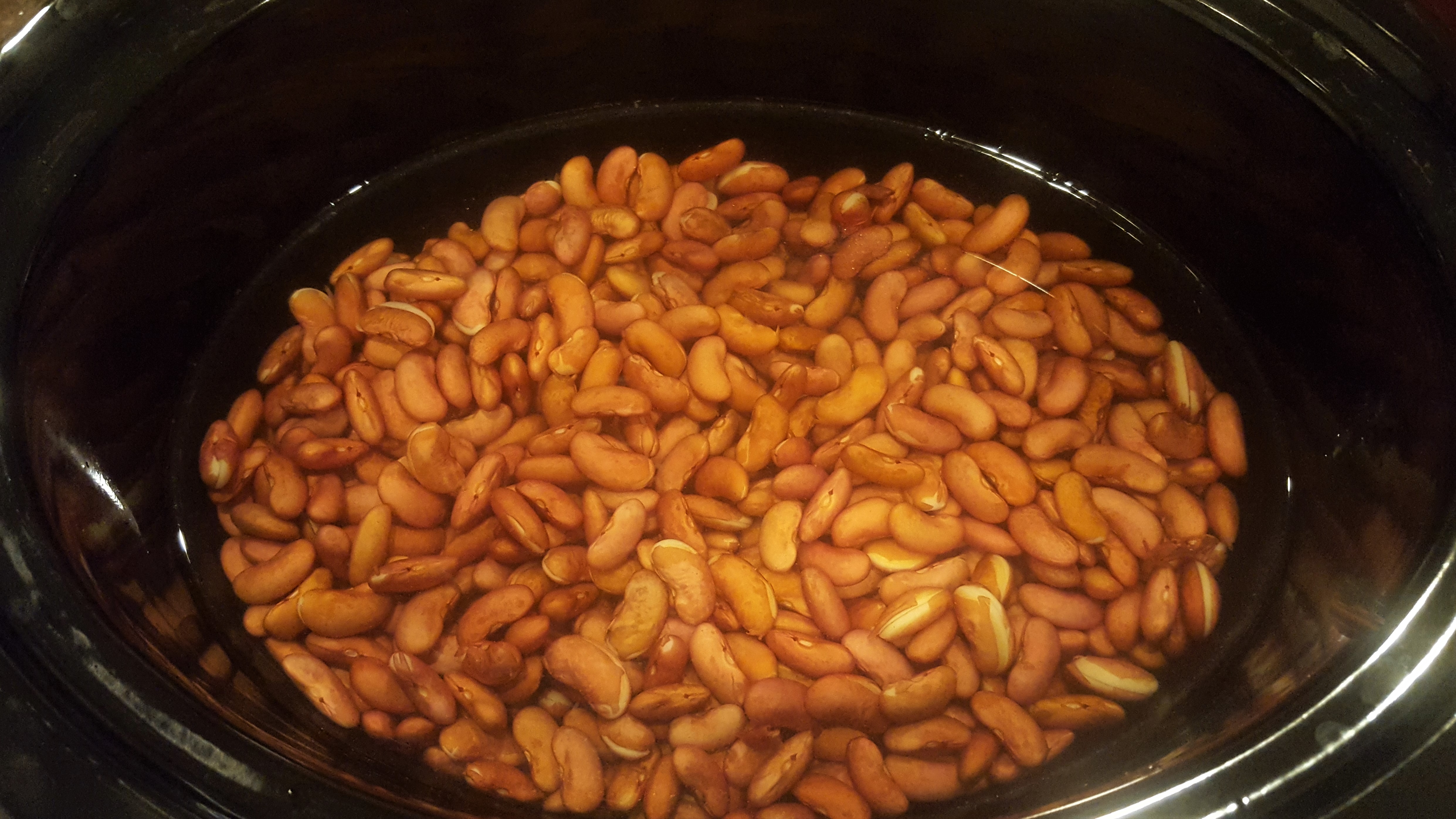 Dry red kidney beans