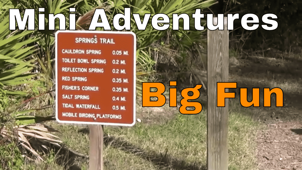 Jungle Adventure Werner Boyce Salt Spring State Park - Chris Does What