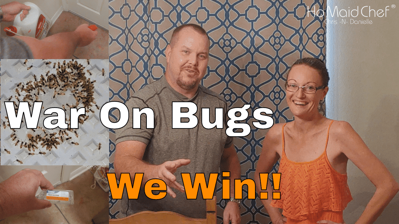 No More Bugs And Ants In Our Florida Home, How To - Chris Does What