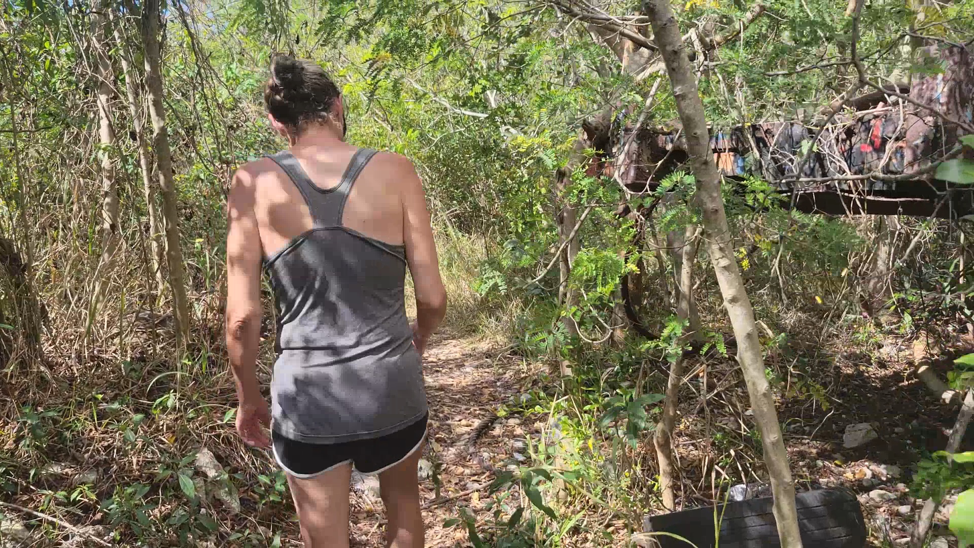 trailblazing Bahamas 