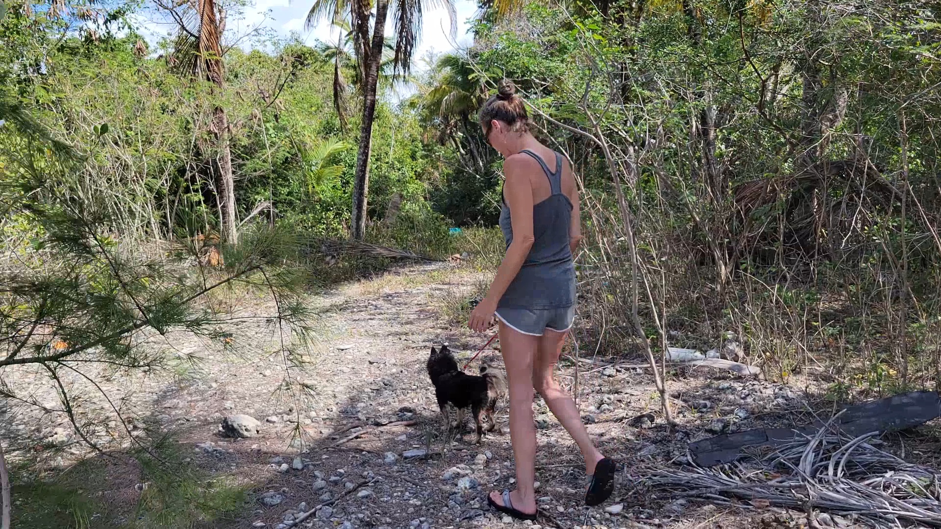 Adventures Along the Trail