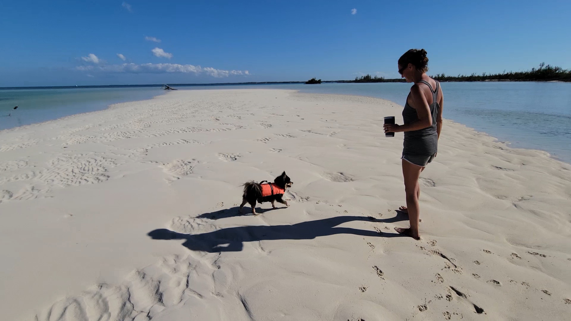 Exploring Bella Island