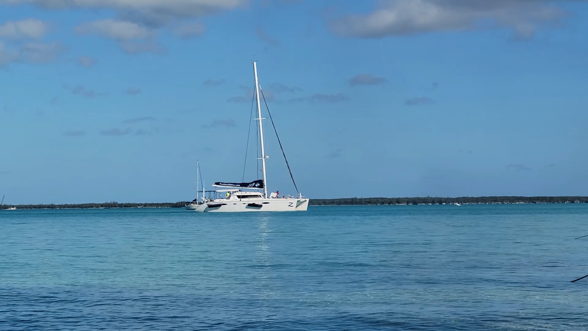 Unexpected Encounters in Sailing Life