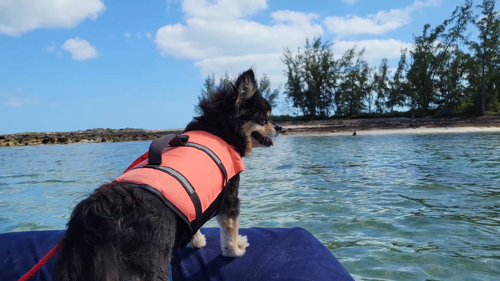 Exploring the Beach
