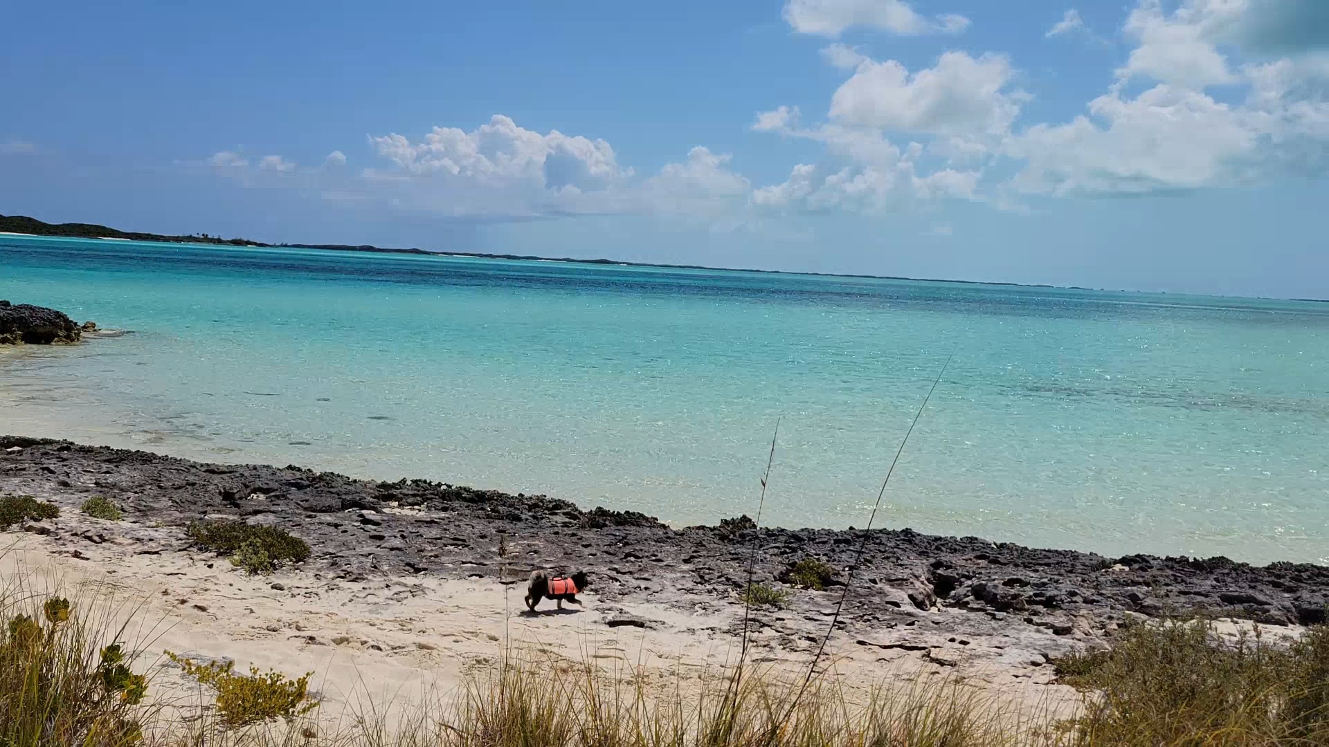 Sailing to the Exumas