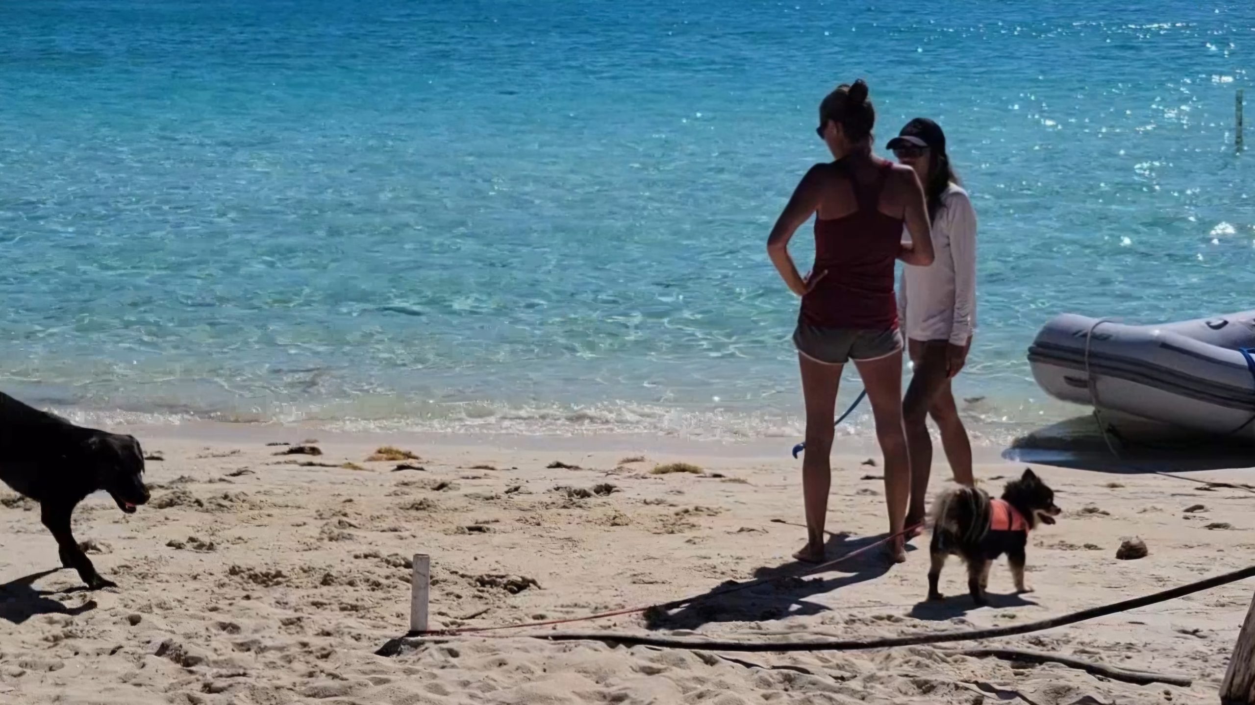 Exploring the Beach