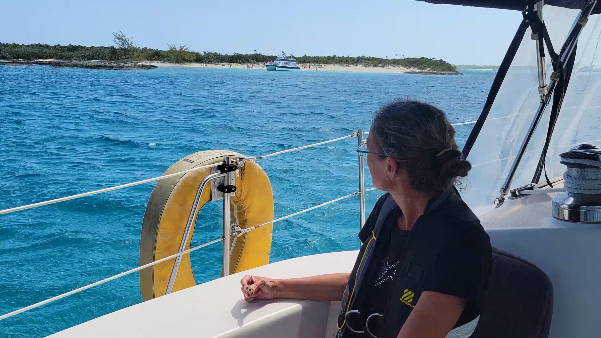 Wild Encounters: Sea Life and Coastal Wonders