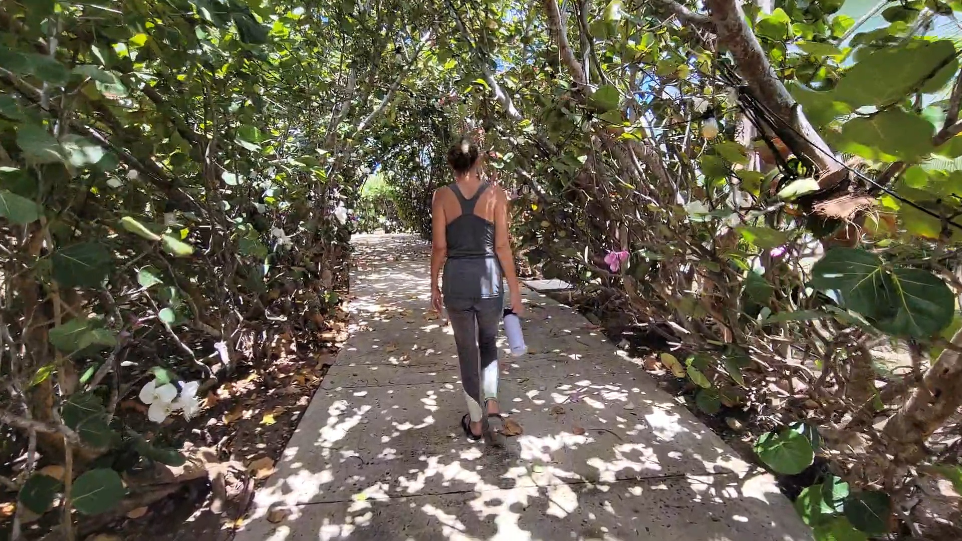 Clarence Town highlights