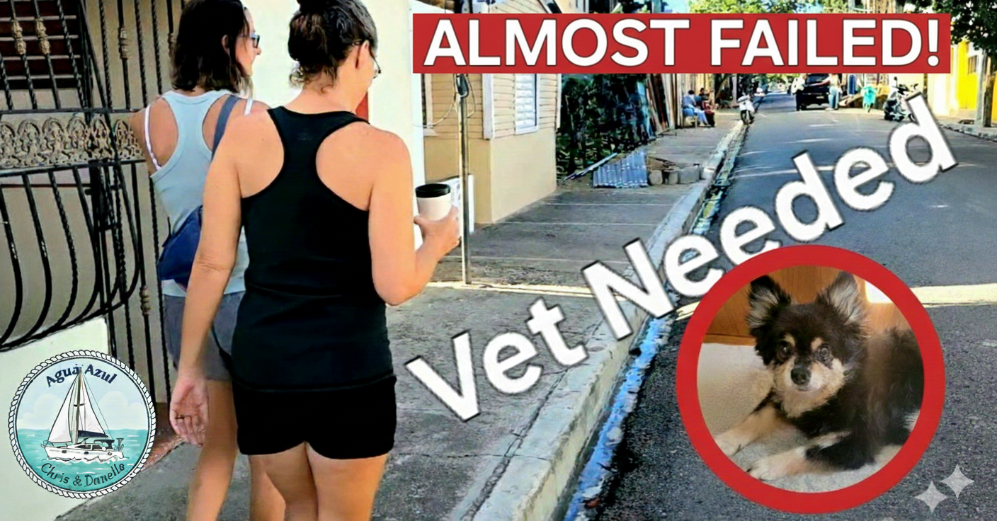 Everything Went Wrong: Getting Bella Ready for Puerto Rico | Ep 98