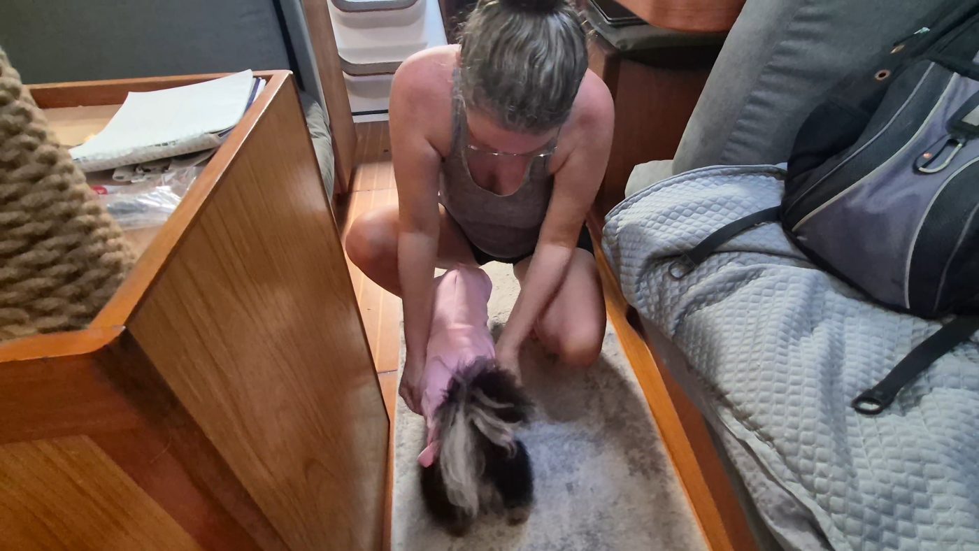 Bella’s Big News & The "Pink Wet Suit"